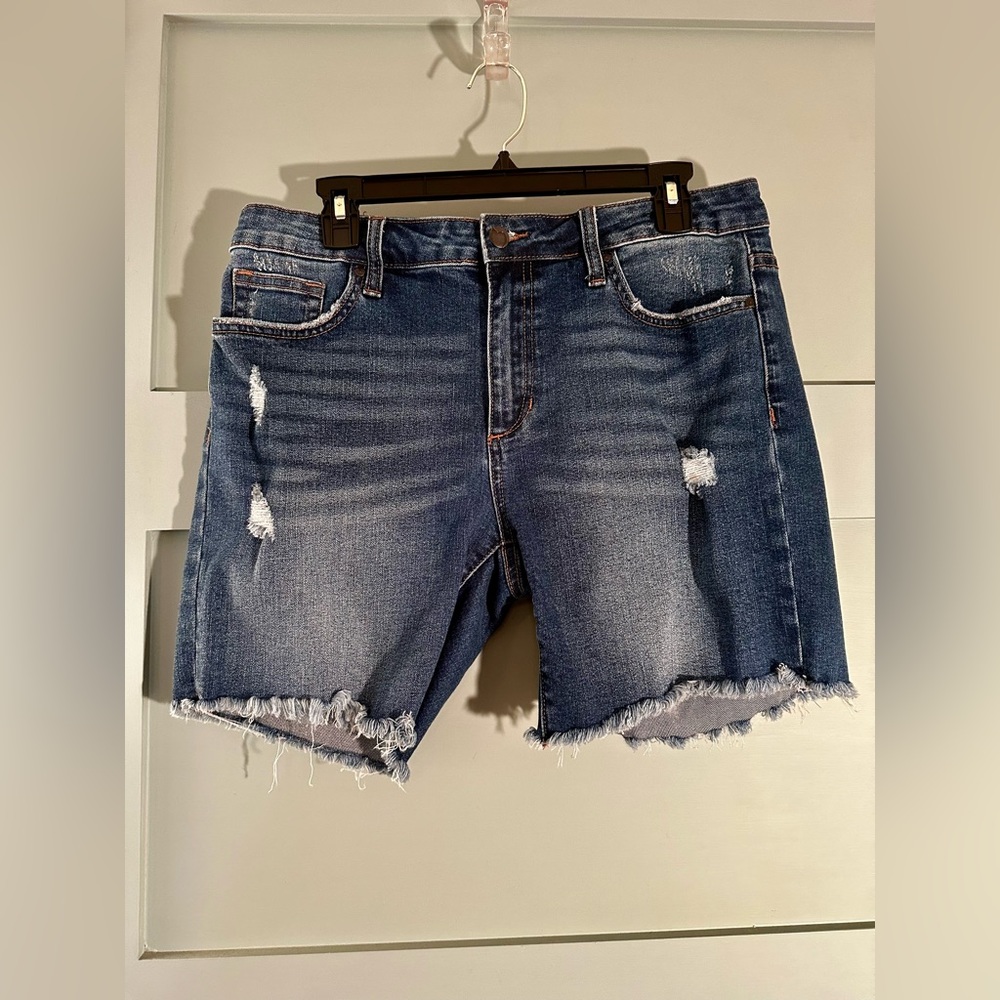 Joe’s Jeans denim shorts. Size: 31.